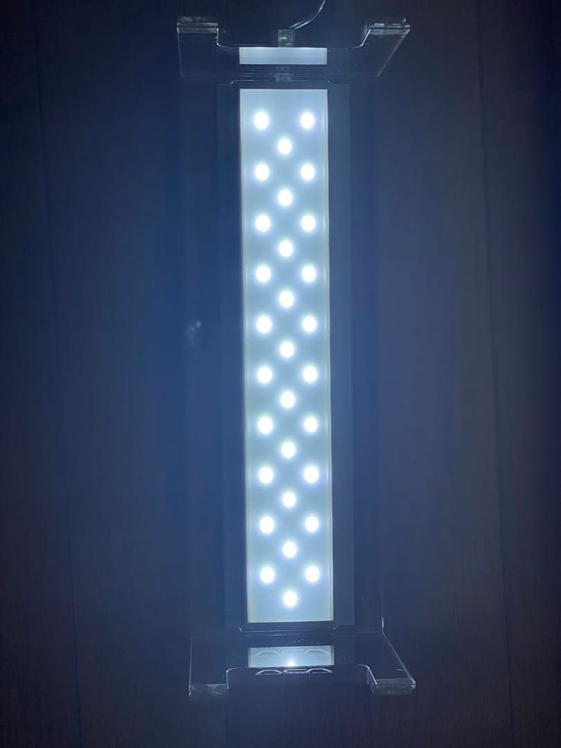 ADA NATURE AQUARIUM CUBE GARDEN セット