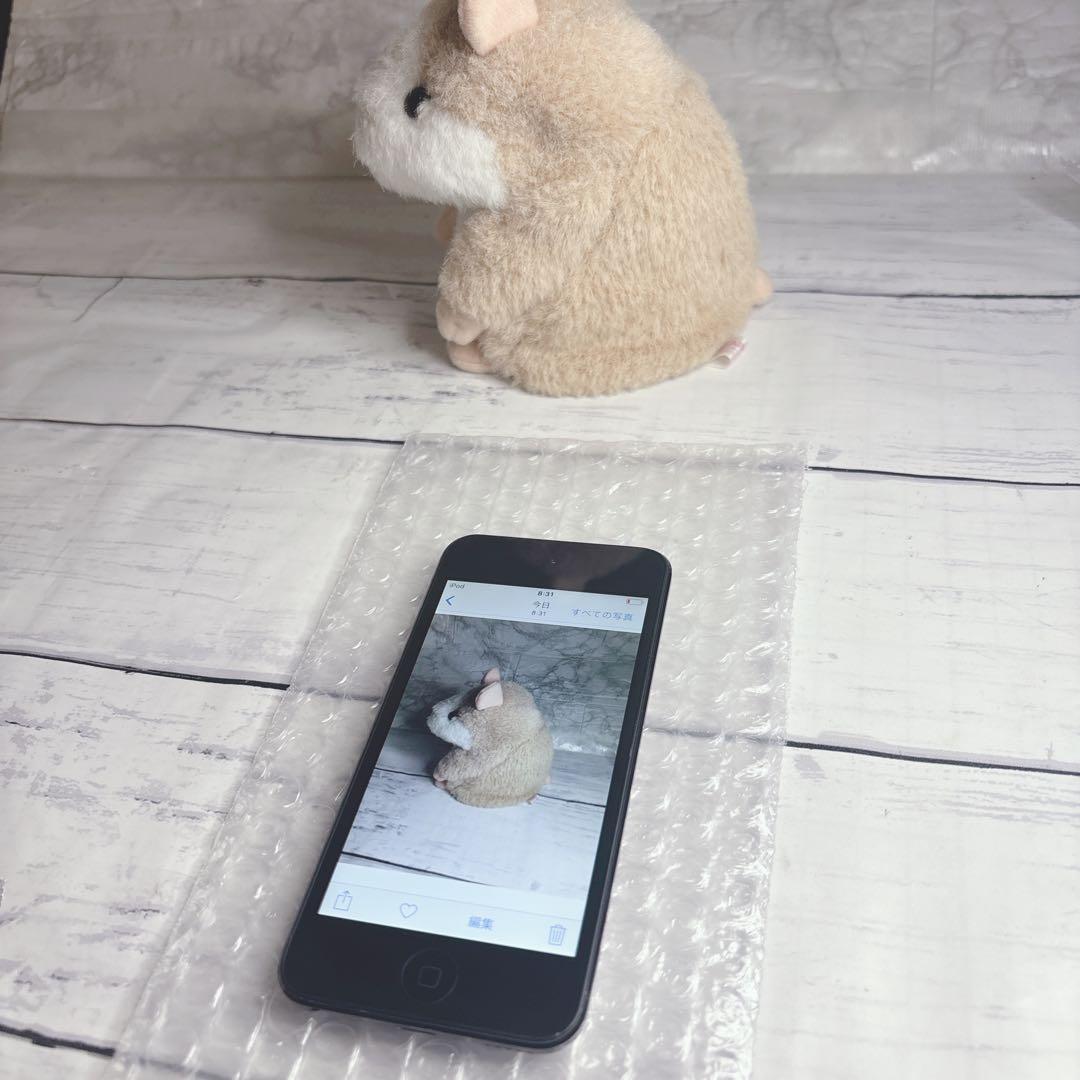 【美品】Apple iPod touch(第6世代) 128GB