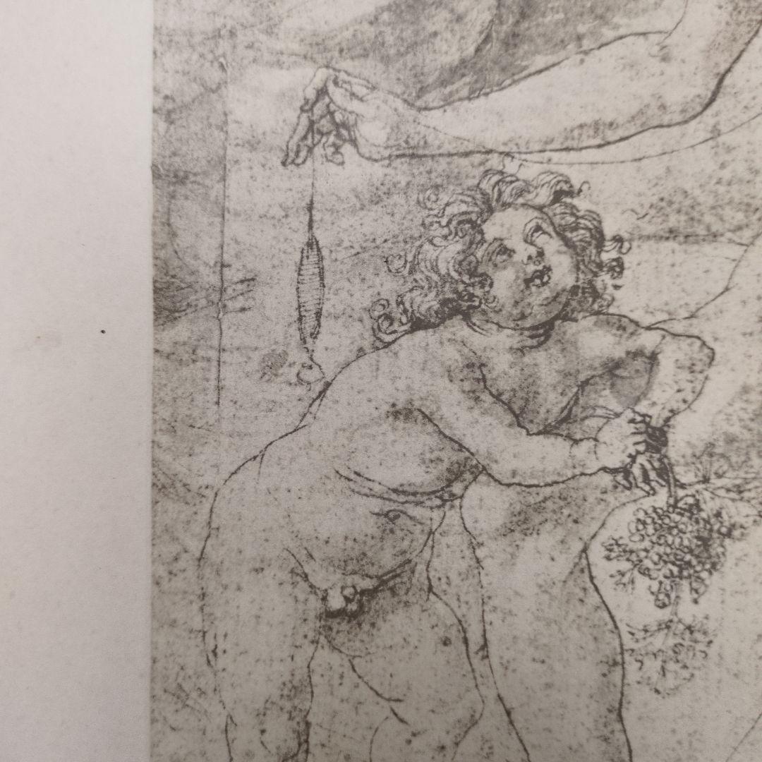 世界史的名著！ バーナード・ベレンソンのフィレンツェ派の素描 第一巻 1903