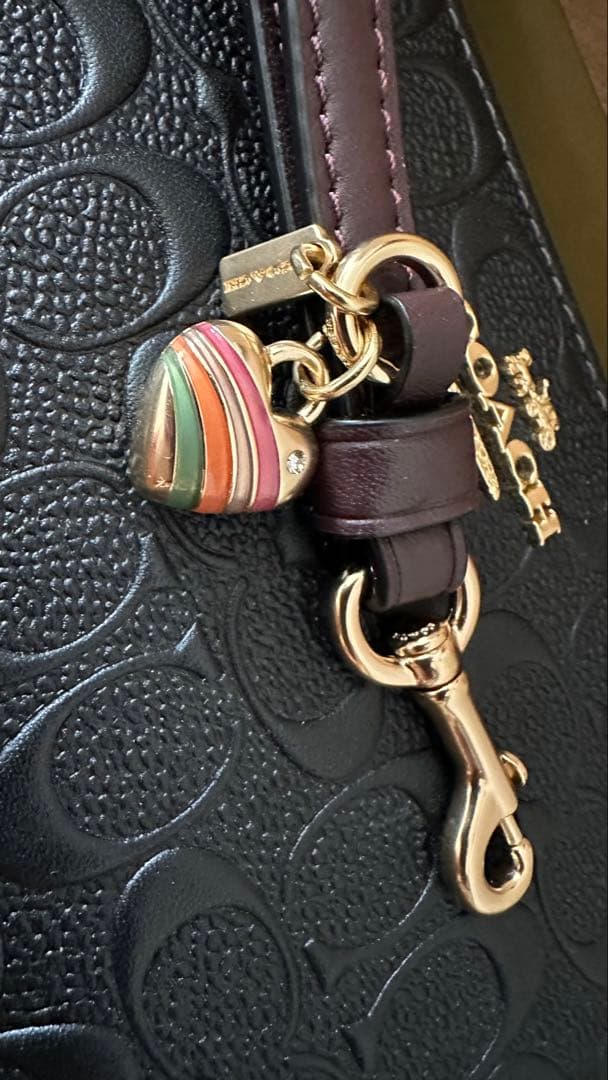 COACH ロング ジップ アラウンド ウォレット・シグネチャーレザー