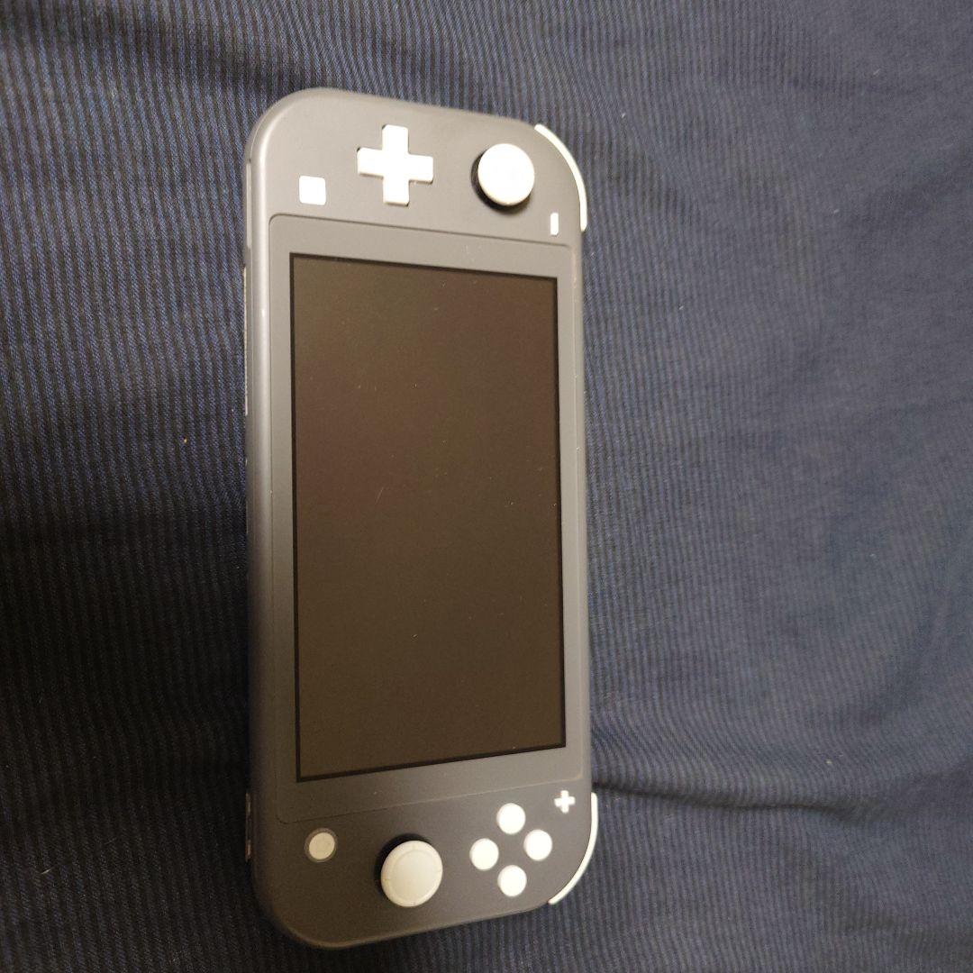 Nintendo Switch Lite グレー 本体 + ポケモンソフト2本