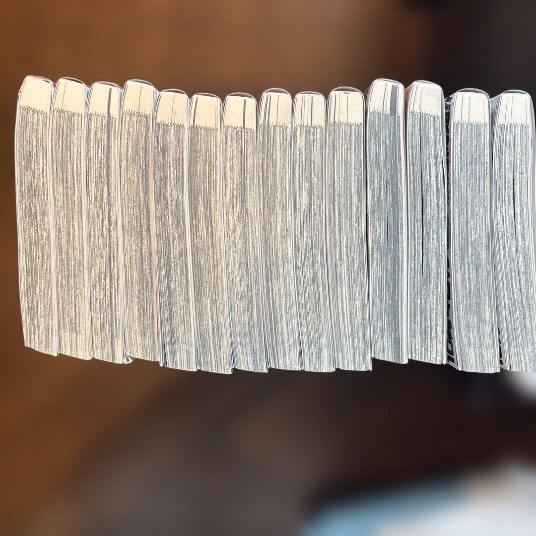 マジルエル 全14巻セット