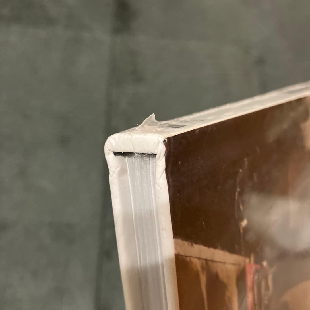 【未開封】Wild dayz Beezer