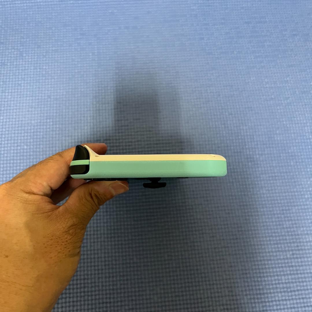 Nintendo Switch あつまれどうぶつの森モデル