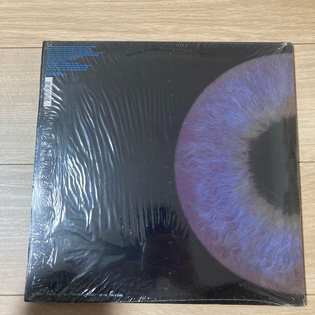 激レア　PLSTIKMAN CLOSER アナログレコード