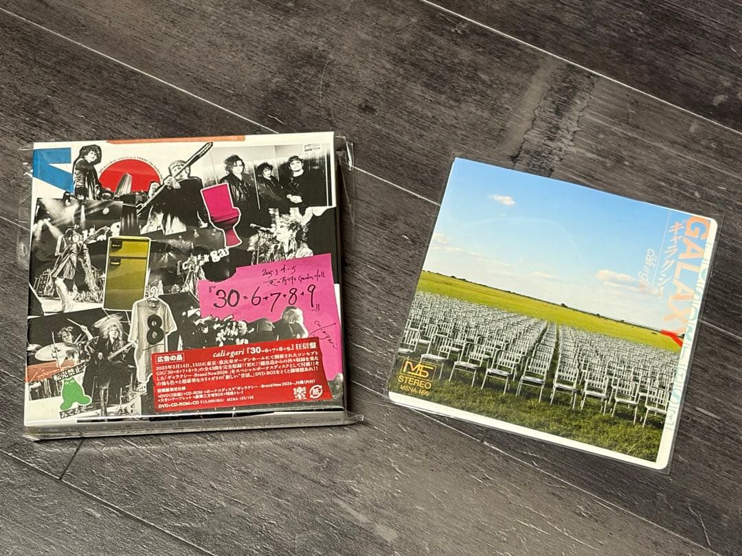 cali≠gariカリ≠ガリの仕事2025「30＝6＋7＋8＋9」(狂信盤)