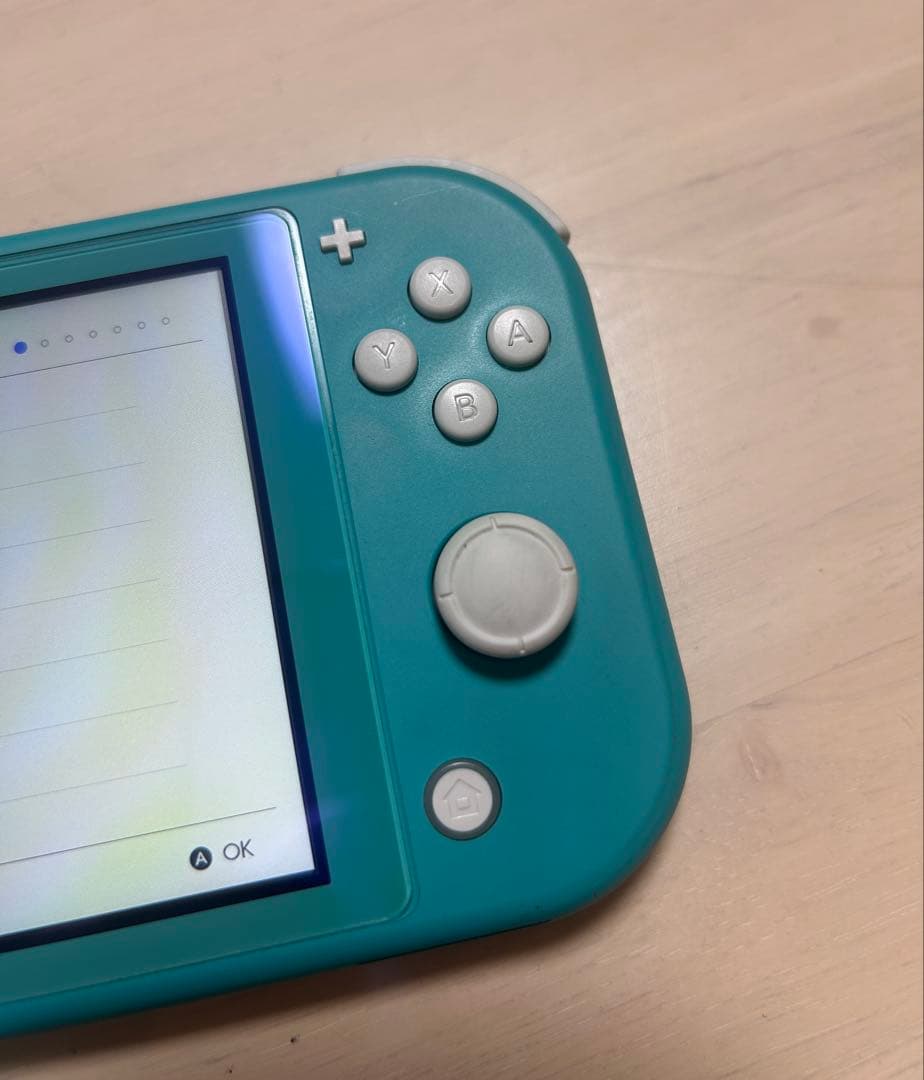 Nintendo Switch Lite ターコイズ 本体 充電器/ケース付き