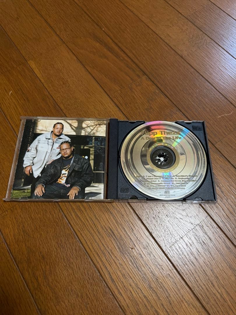 洋楽 Flipp Thezz / A Day In The Life