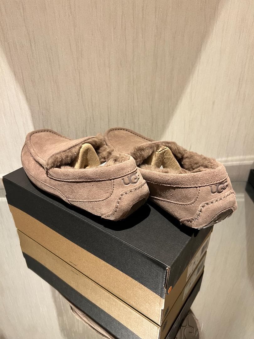 【正規品　新品】UGG Ascot メンズ　26cm