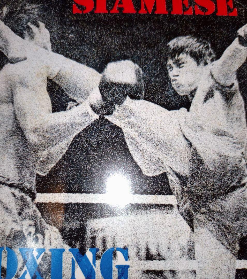 THAI BEAT A GO GO 辺境グルーヴ RARE GROOVE