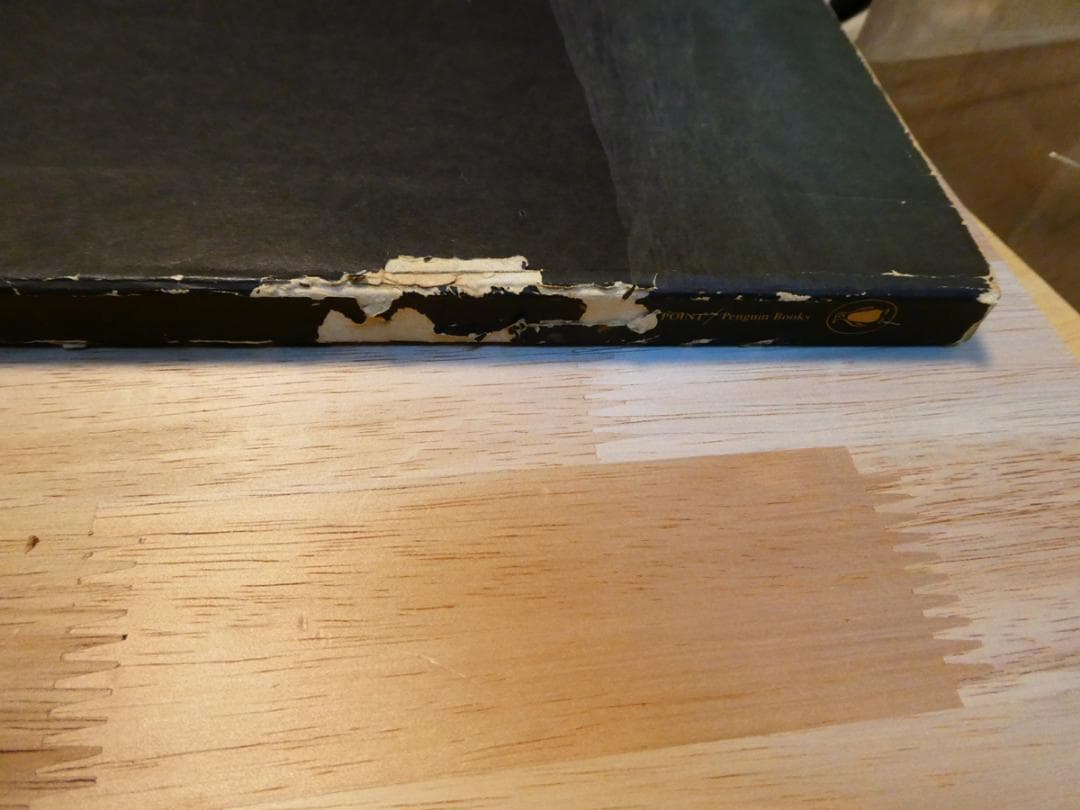 洋書 Whole Earth Epilog