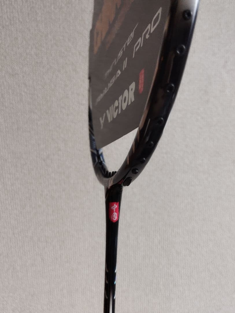 ヴィクターリューガ2プロチャイナオープン2025