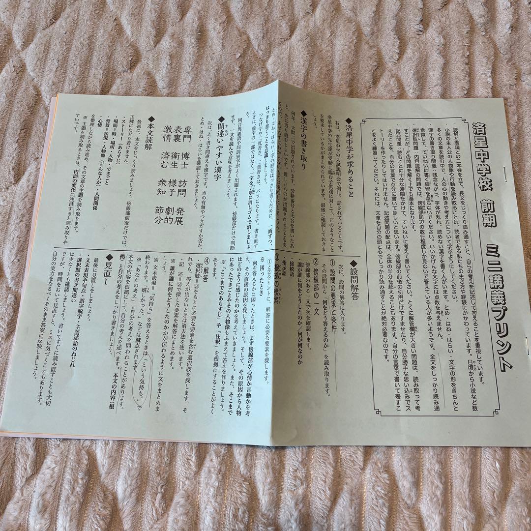 浜学園2025年洛星メソッド 算数国語理科社会四科小6 全巻セット