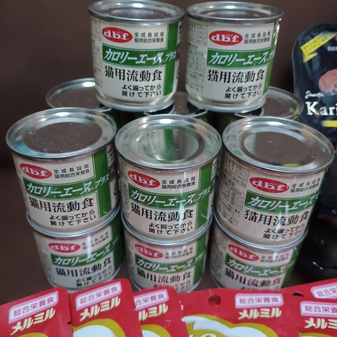キャットフードセット