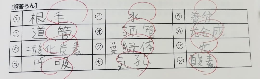 SAPIX サピックス 小5 理科 テキスト