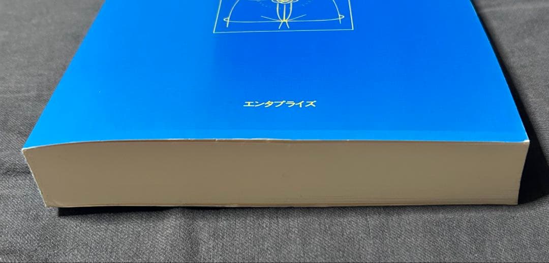 気内臓療法　チネイザン　謝明徳　マンタク・チャ　ヒーリング　気功　太極拳