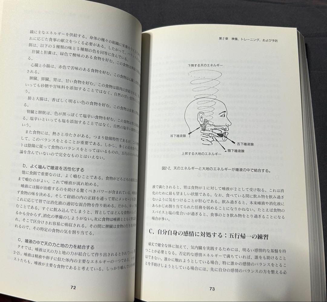 気内臓療法　チネイザン　謝明徳　マンタク・チャ　ヒーリング　気功　太極拳