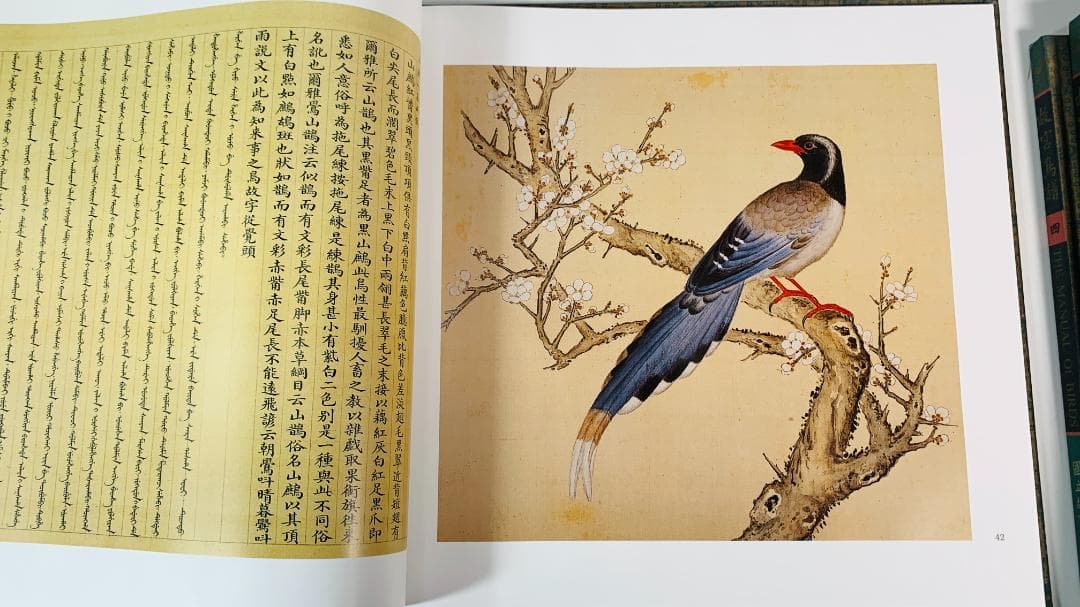 1997年初版「The Manual of Birds（故宮鳥譜）」