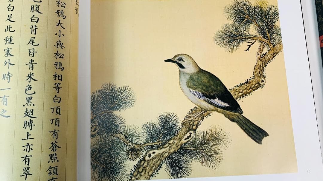 1997年初版「The Manual of Birds（故宮鳥譜）」