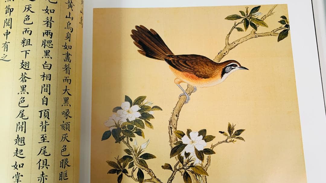 1997年初版「The Manual of Birds（故宮鳥譜）」