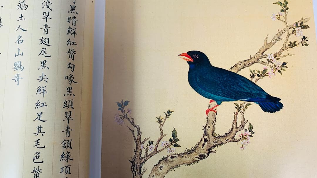 1997年初版「The Manual of Birds（故宮鳥譜）」