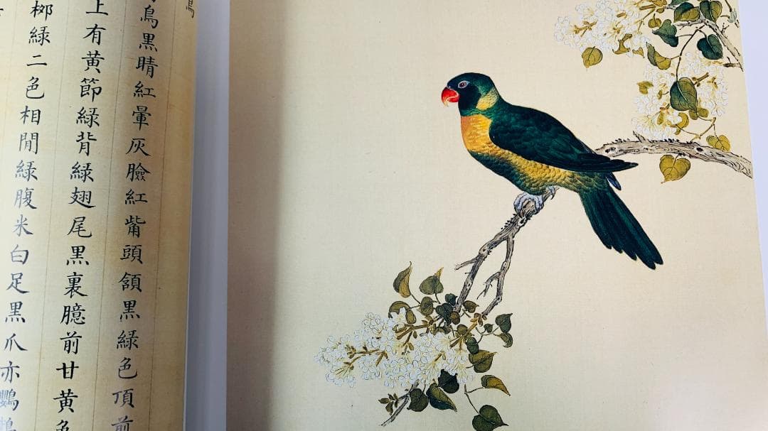 1997年初版「The Manual of Birds（故宮鳥譜）」