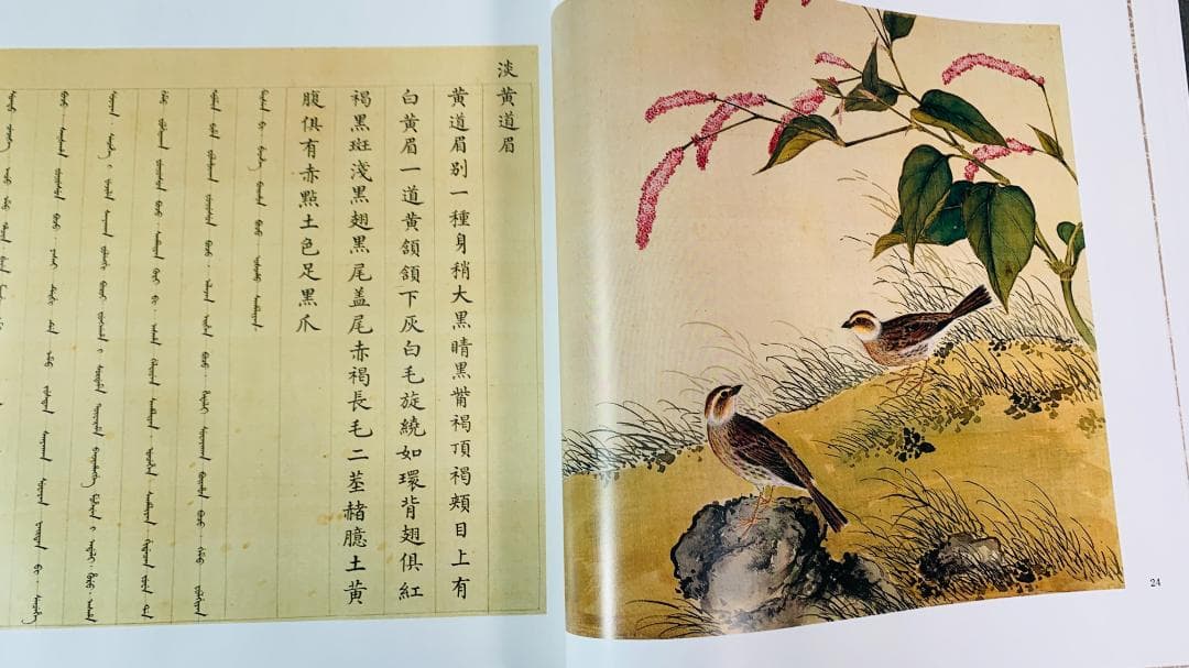 1997年初版「The Manual of Birds（故宮鳥譜）」