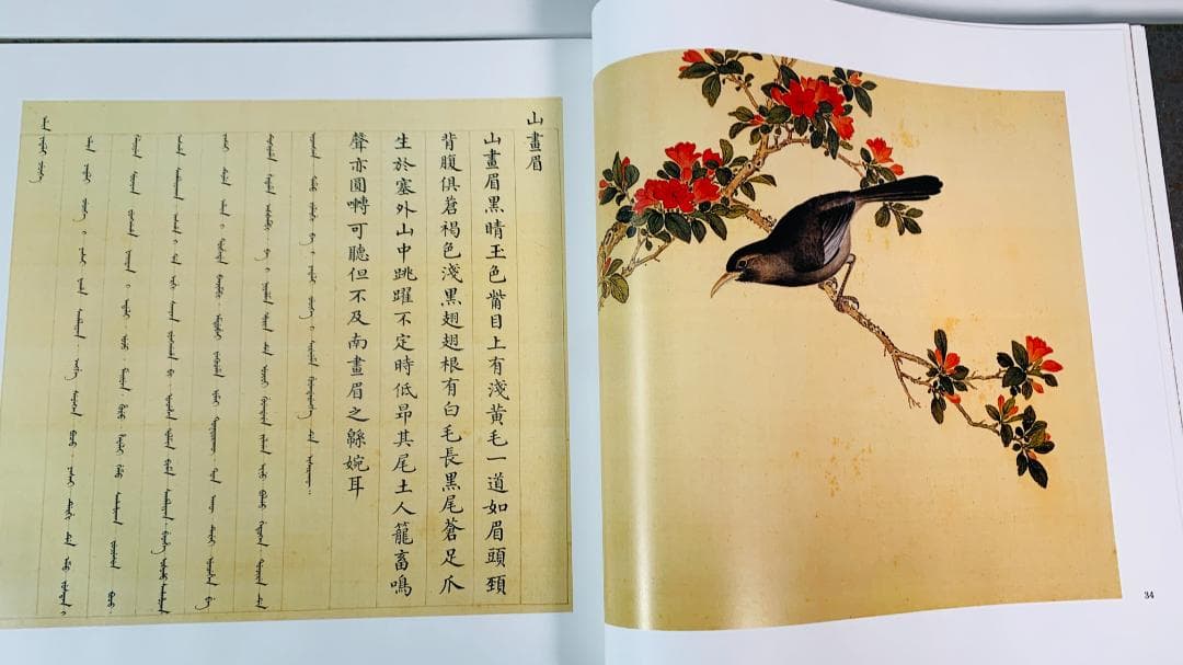 1997年初版「The Manual of Birds（故宮鳥譜）」