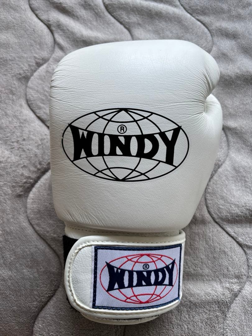 WINDY ボクシング　キックボクシング　グローブ　10オンス