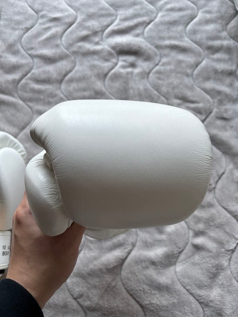 WINDY ボクシング　キックボクシング　グローブ　10オンス