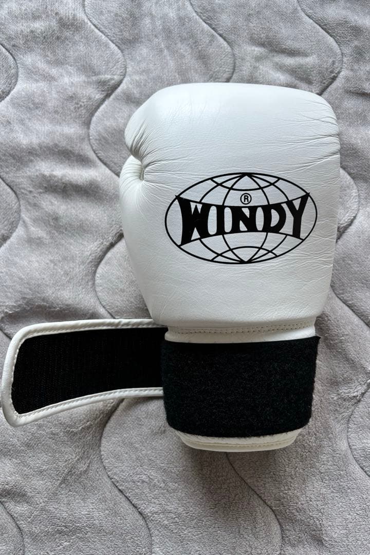 WINDY ボクシング　キックボクシング　グローブ　10オンス