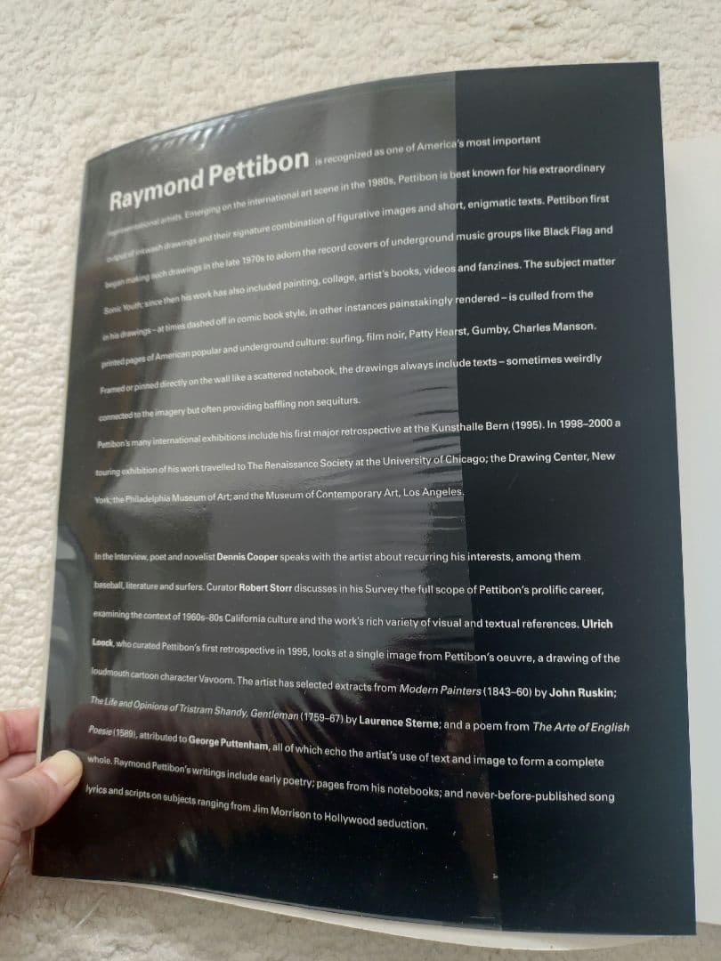 レイモンド・ペティボン Raymond Pettibon 英語版 ソフトカバー