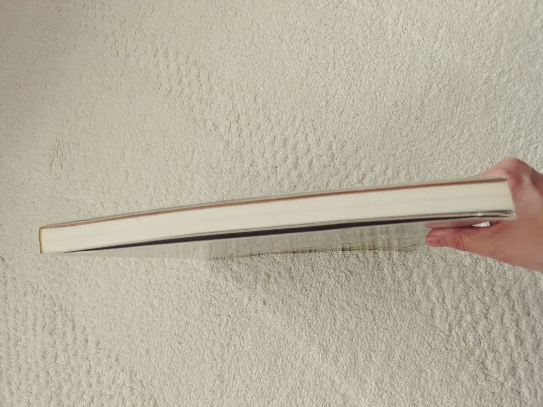 レイモンド・ペティボン Raymond Pettibon 英語版 ソフトカバー