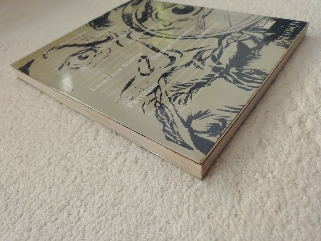 レイモンド・ペティボン Raymond Pettibon 英語版 ソフトカバー