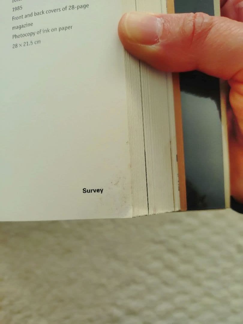 レイモンド・ペティボン Raymond Pettibon 英語版 ソフトカバー