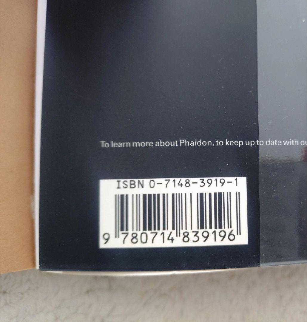 レイモンド・ペティボン Raymond Pettibon 英語版 ソフトカバー