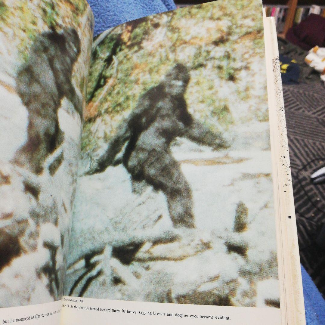 洋書 Manlike Monsters on Trial by Halpin