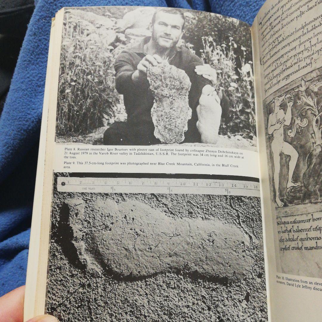 洋書 Manlike Monsters on Trial by Halpin