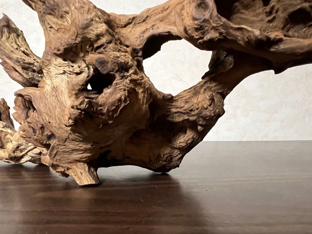 HX-003 流木　ホーンウッド　マシンガンウッド　アクアリウム　ブランチウッド