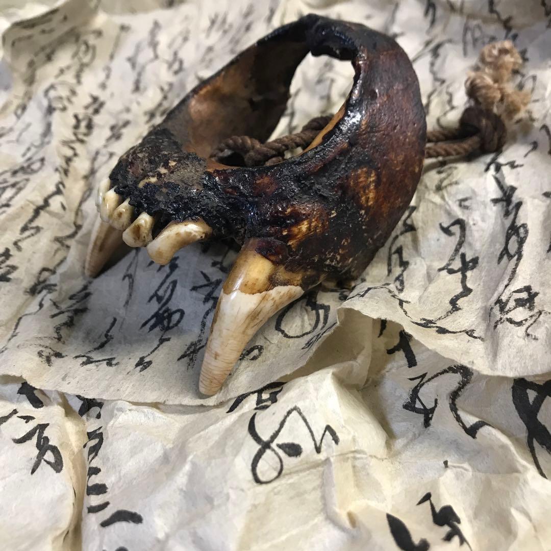 獣牙　根付　呪物　ニホンオオカミ　熊