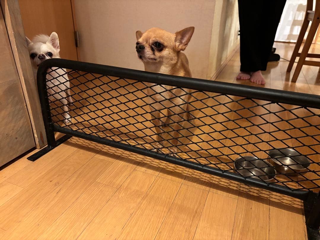 アメリカンフェンス風　バリケード　パーテーション800×400