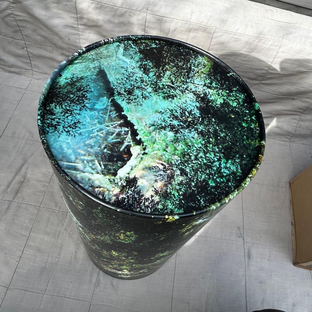 「蟲師」二十景〜蟲襖〜(むしあお) 漆原友紀画集 講談社