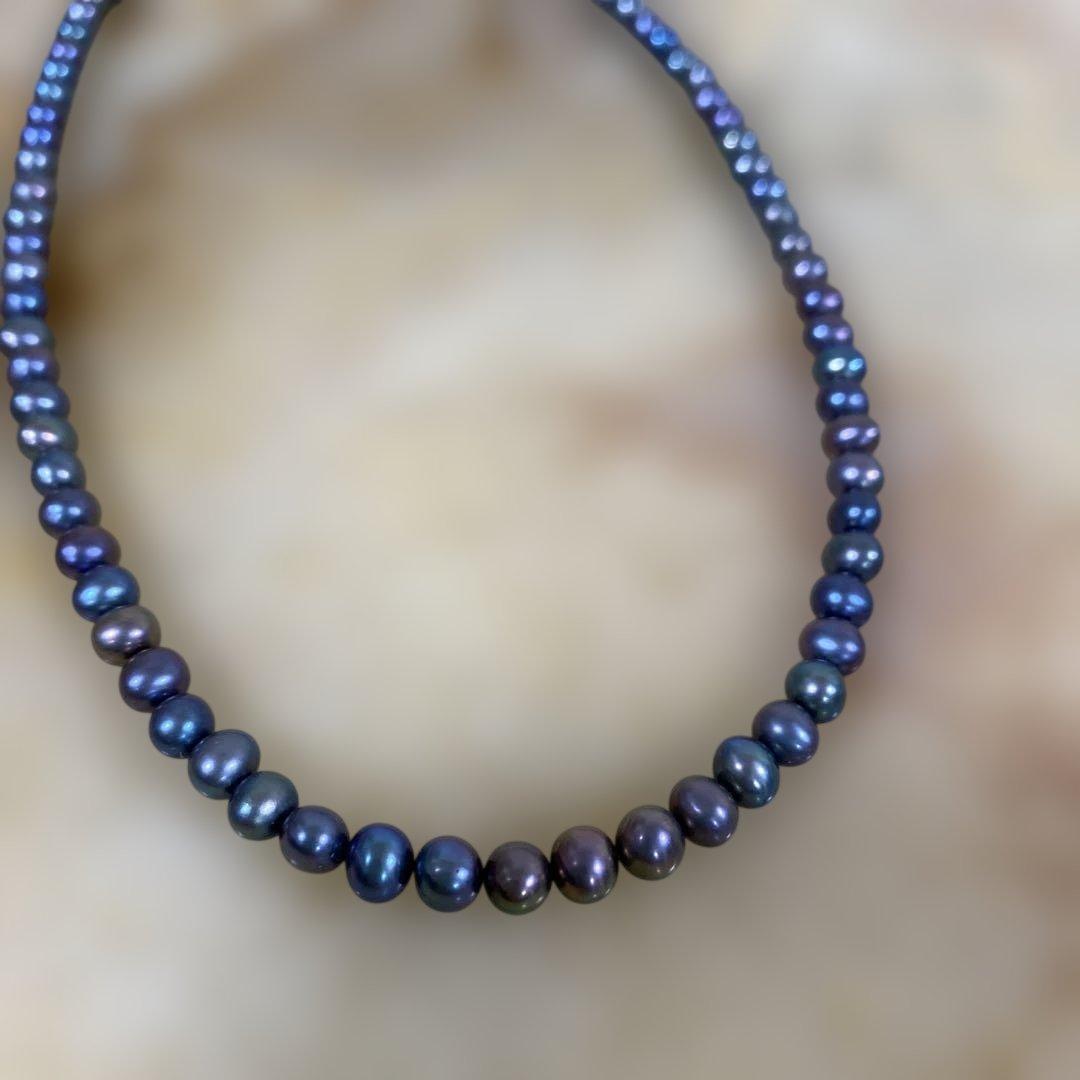 くまちゃん‼️おまとめです‼️