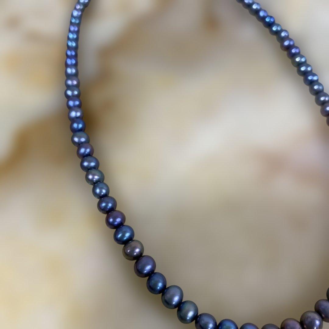 くまちゃん‼️おまとめです‼️