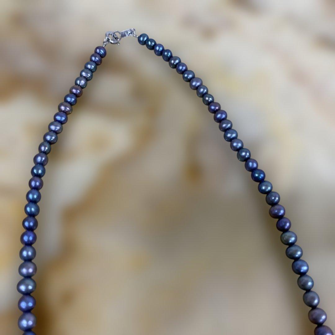 くまちゃん‼️おまとめです‼️