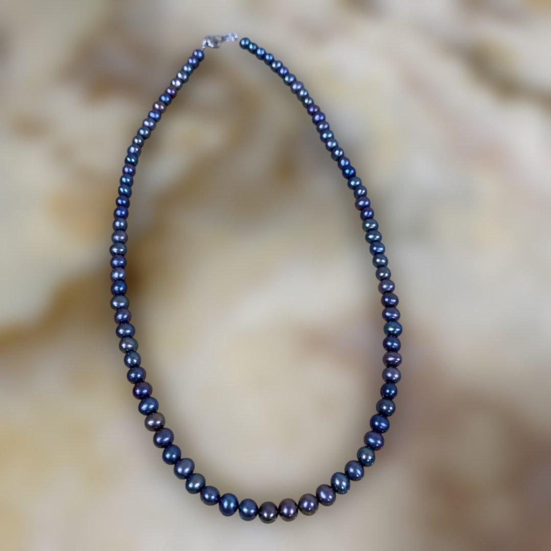 くまちゃん‼️おまとめです‼️