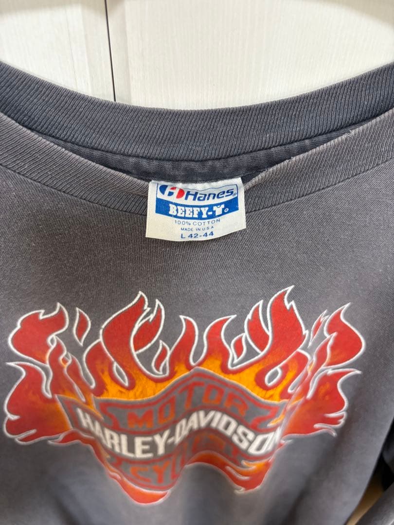 80s Harley-Davidson ハーレーダビッドソン ロンT フレイム