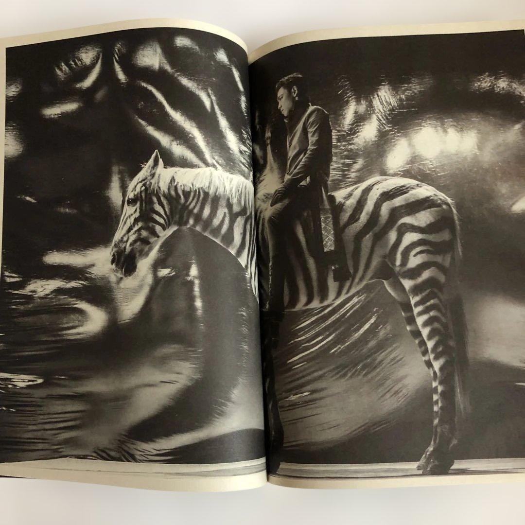 BIGBANG TOP DOOM DADA 写真集 廃盤CD タプ　写真付き