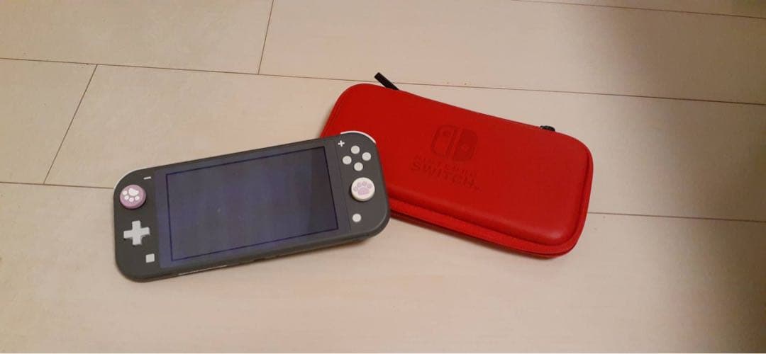 Nintendo Switch Lite グレー専用ケース付き