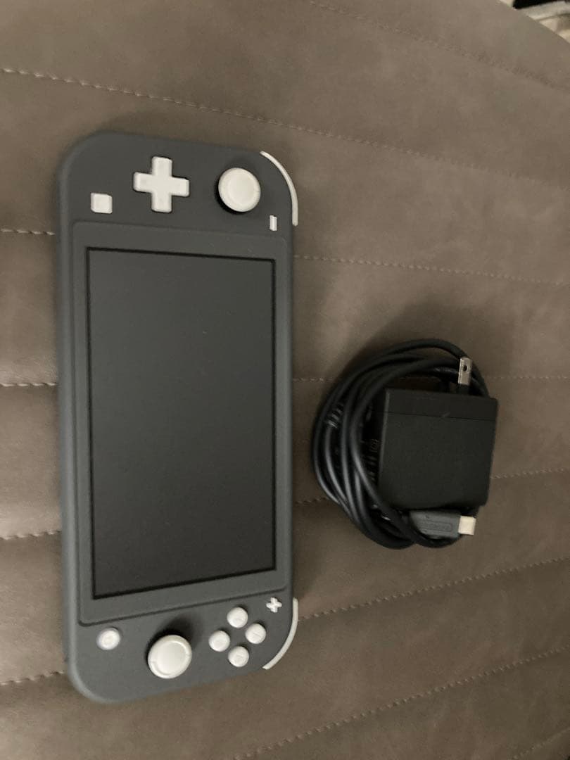 Nintendo Switch Lite グレー　本体・充電器